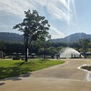 태화강 빛 축제 | 울산 태화강 국화축제 현장 후기 - 2025년 가을여행