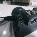 목사내아기타 | [사용기] 사진위주라면 추천하는 저렴한 풀프레임 카메라 - 캐논 EOS RP / 입문용 풀프레임, A7M3보다는...