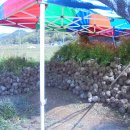 남천농장 이미지