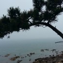 황골해변 이미지