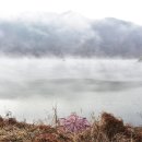 남하대야리 이미지