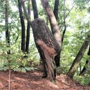 좌운1리 마을회관 이미지