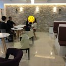 비지빈 이미지