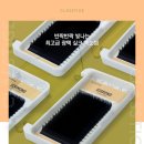 티지인터내셔널