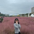 지윤농장 | 10월 일상:🔟➕1️⃣➖1️⃣=🔟