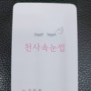 천사속눈썹 이미지