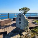 제173차 정기산행 2025년 6월 8일 매물도 장군봉(210m) 이미지