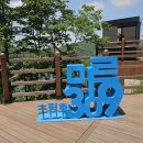 충북 진천 초평호 미르 309 출렁다리 초롱길 트레킹 #3 이미지