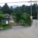 샛두밀천 이미지