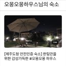 오몽오몽하우스 이미지