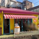 주디마리 홍대점(JUDYMARY)