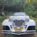 백조관광펜션 이미지