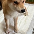 연수동산로 이미지