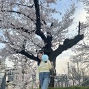 웰케어핏 | 체지방 감소와 피부 케어를 동시에, 요즘 챙기는 이너뷰티 쓰리핏 유산균 다이어트