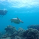 지상낙원 이미지