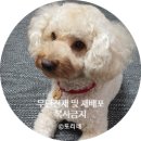 불당동 정석락볼링장 후기