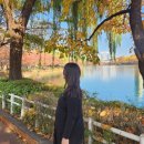 잠실준25시 동물병원 | 수지미래산부인과 40주 0일 유도분만 성공 초산모 자연분만 후기 출산 마지막 일주일