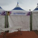 경산국화전시회/경산국화 축제 이미지