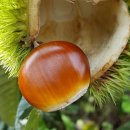 주월농장 이미지