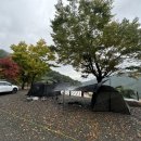 옥천1382 이미지