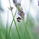 정진발전소 이미지