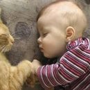 귀여운아기 이미지