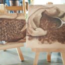 카페테디(CAFE Teddy) 이미지