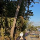 간절곶 풍차 이미지