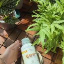 토탈방제