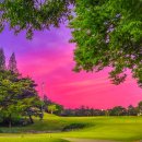 경주신라컨트리클럽 | 봄빛 아름다운 경주신라컨트리클럽 야간라운딩