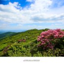 산수리주봉 | 전북 무주산행/덕유산&amp;푸른 자연속으로 화사한 철쭉이 반겨주던 6월 【17년6월3일】