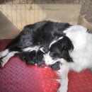 순산목장 이미지