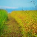 향촌농장 | 대구 1박 2일 경비, 야경 드라이브 코스, 맛집 10곳 추천