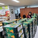 지전농장 이미지