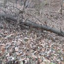 회원동126 이미지