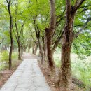 탄동천-1 이미지