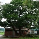 장곡면 도산2리마을회관 | [충남] 2020, 전북~충남 … 5. 홍성 사운고택