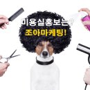 조아헤어샵 이미지