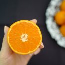 양지청과 이미지