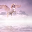 순복음총회신학교 이미지