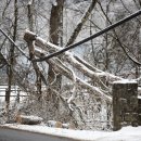 (주)그린로드 이미지
