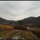 열녀 삼척진씨 정려 이미지