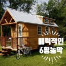 초막농장 이미지