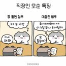 순희네농장 | 녹두빈대떡과 애호박찌개가 맛있는 지산동 농장다리