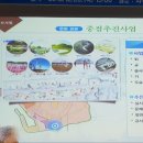 안중레포츠 공원 체육시설 축구장 이미지