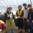 영보농장 이미지