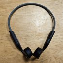 (주)롯데하이마트 상무점 | 심장재활운동을 위한 무선 이어폰, BOSE soundwear 언박싱 및 사용후기