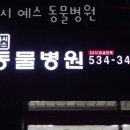반포자이동물병원 이미지