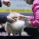 SPACE POME(스페이스폼) 이미지