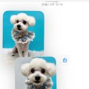 그루몽실 이미지